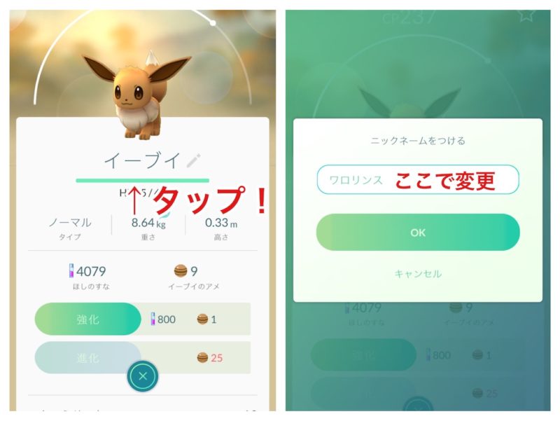 ポケモンgo イーブイをシャワーズ ブースター サンダースに進化させる方法 Warocom