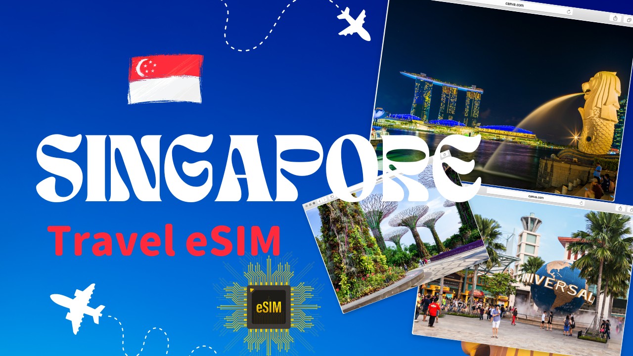 シンガポール　eSIM